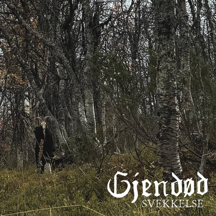 GJENDØD reveal their new offering, “Svekkelse”, in its entirety