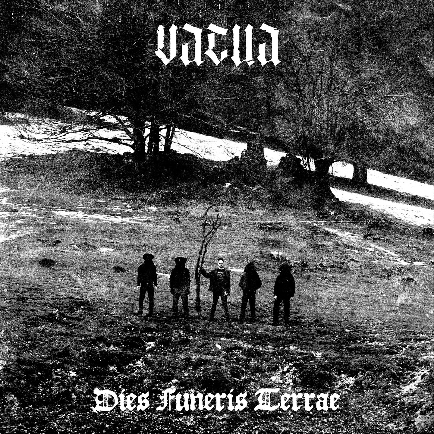 VACUA reveal the first track from their upcoming debut opus