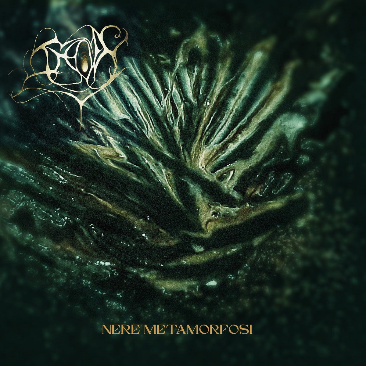 IMBOLC unveil their latest offering, “Nere Metamorfosi”