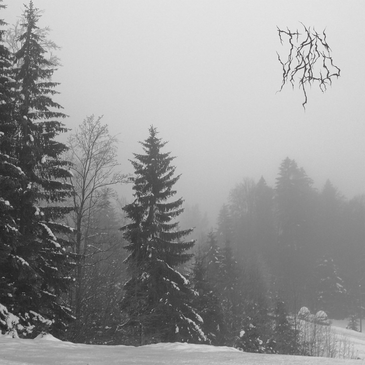 Czech solitary entity TANVALD unveils its latest offering, “Nemofilista”