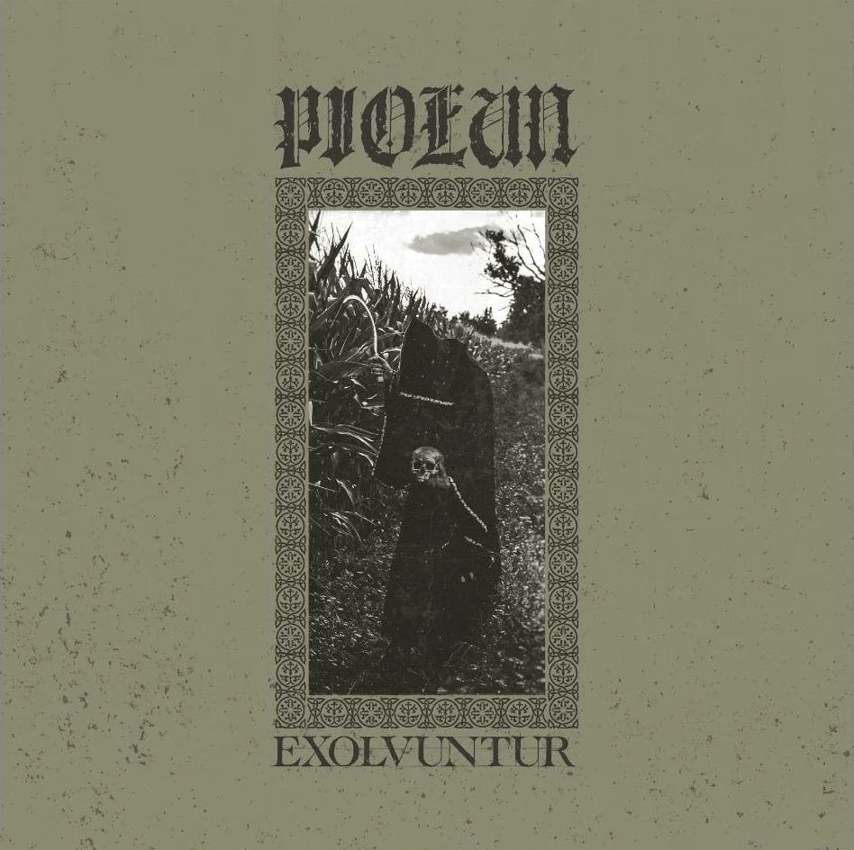 PIOŁUN reveal the first glimpse into their forthcoming offering