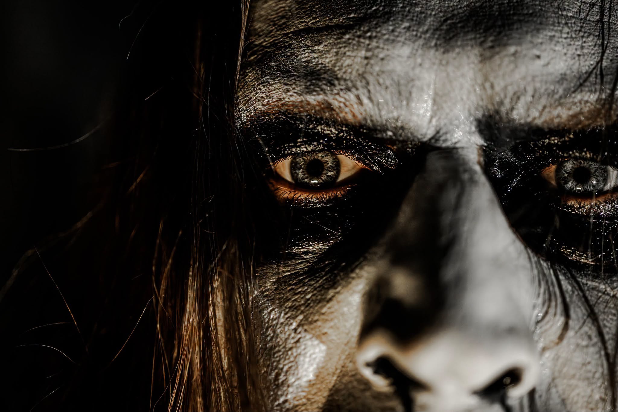 TERRESTRIAL HOSPICE reveal the first glimpse into their forthcoming offering